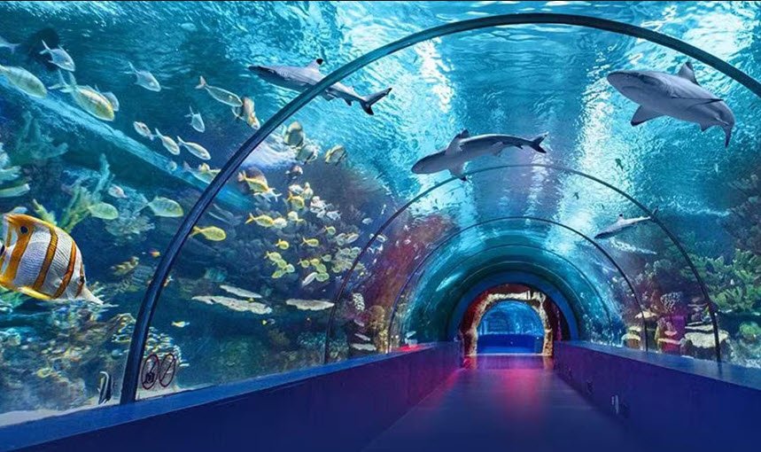 Travancore Royal Aquarium, Thiruvananthapuram, Kerala - Vushii.com